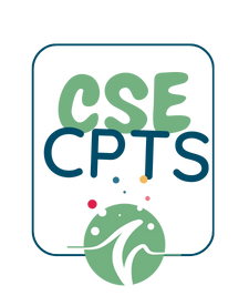 CSE Icon